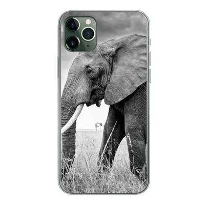 Produktbild von MuchoWow® Handyhülle Schutzhülle Hülle für iPhone 11 Pro Max Elefant - Gras - Tiere - Schwarz und weiß Silikon Softcase Handy Hülle - Schutz