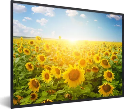 Produktbild von MuchoWow® Gerahmtes Poster Sonnenblume - Sonne - Wolken 80x60 cm - Poster mit Schwarzem Bilderrahmen Wandposter Rahmen Foto Bilder - Schwarzem - Mit Gestell