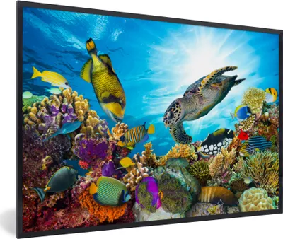 Produktbild von MuchoWow® MuchoWow® Gerahmtes Poster Schildkröte - Meer - Koralle 90x60 cm - Poster mit zchwarzem Bilderrahmen - Fotorahmen - Foto-Plakat