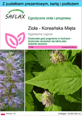 Zdjęcie produktu dla SAFLAX - Zestaw prezentowy - Zioła - Koreańska Mięta - 1200 Nasiona - Z pudełkiem upominkowym, etykietą wysyłkową, kartą podarunkową i podłożem uprawowym - Agastache rugosa