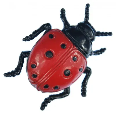 Produktbild von Marienkäfer Brosche Pin Biene Button Miniblings Käfer Glücksbringer 4cm