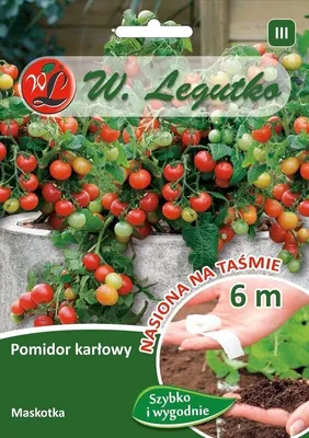 Zdjęcie produktu dla Maskotka z nasion pomidora 6m wstążka - W.Legutko