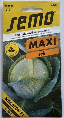Zdjęcie produktu dla SEMO KAPUSTA GŁOWIASTA – do kwaszenia 4261