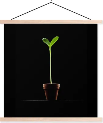 Produktbild von MuchoWow® Textilposter Eine junge Sonnenblume in einem Blumentopf vor einem schwarzen Hintergrund 120x160 cm mit holzfarbenen Rahmen - Plakatkarton