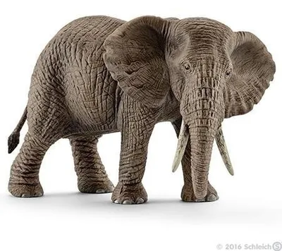 Zdjęcie produktu dla Schleich - Figurki zwierząt, krowa słonia afrykańskiego; 14761