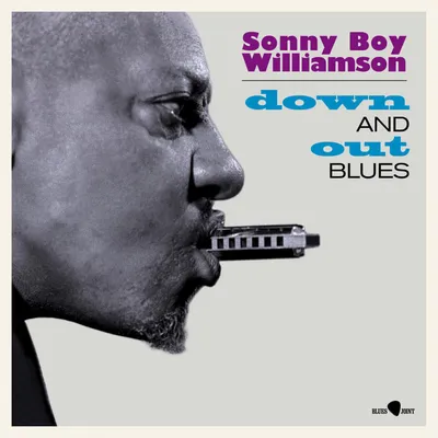 Zdjęcie produktu dla Sonny Boy Williamson - Down And Out Blues (Reissue) (180 g) (Coloured) (LP)