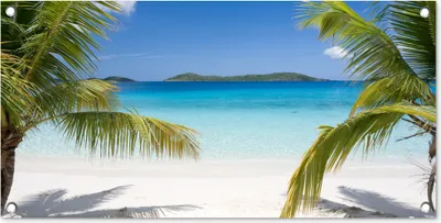 Produktbild von MuchoWow® 80x40 cm Outdoor-Poster Gartendeko Sichtschutz Garten Poster für den Garten  Tropische Palmen am Strand