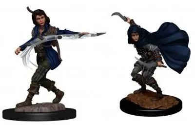 Zdjęcie produktu dla Pathfinder Deepcuts: Kobieta-łotrzyk rasy ludzkiej