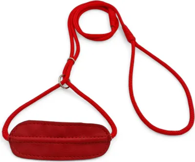 Produktbild von Gepolsterte Hundeleine mit Lederhalsung 1,20 m Rot 5 mm Ausstellungsleine Vorführleine Showleine Retrieverleine