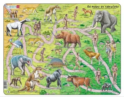 Obrázok produktu pre Puzzle Cesta od opice k človeku 83 dielikov