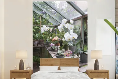 Produktbild von MuchoWow® Fototapete für Wohnzimmer oder Schlafzimmer Wandtapete Vinyl Motivtapete Blühende Orchidee in einem Gewächshaus - 160x240 cm - Vinyltapete