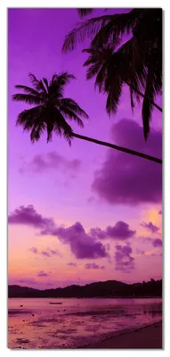 Produktbild von Wallario selbstklebende Türtapete 93 x 205 cm mit Schutzlaminat - Sonnenuntergang unter Palmen  Himmel in lila und orange