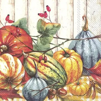 Obrázok produktu pre Veľké obrúsky 33x33 cm COUNTRY PUMPKINS, IHR