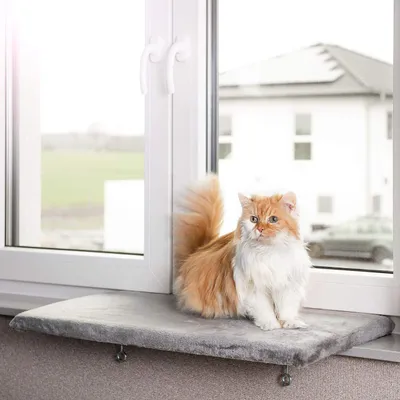 Produktbild von CanadianCat Company | Cat Window Lounger veľký okenný parapet pre mačky - Snuggly Place - veľká, svetlosivá, nadýchaná okenná doska pre mačky, umývateľná, cca 75 x 35 cm