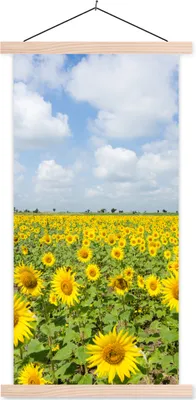Produktbild von MuchoWow® Textilposter Sonnenblumen - Blumen - Wolken - Natur - Gelb - Landschaft 40x80 cm mit holzfarbenen Rahmen - Wohnzimmer