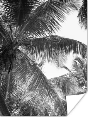 Produktbild von MuchoWow® Poster Palmwedel - Vintage - Natur 120x160 cm - Wandbilder