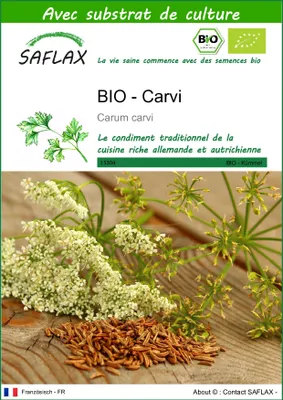 Image de SAFLAX  -- Carvi - 800 graines - Avec substrat - Carum