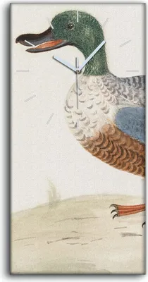 Produktbild von Dekor Leinwand Uhr Wandbilder Geräuschlos 30x60 Zeichnung Tier Vogel Ente Kunst - weiße Hände