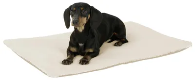Obrázok produktu pre Kerbl Liegekissen Theo (Farbe Beige, L x B x H 120 x 75 x 3 cm, selbsterwärmend)