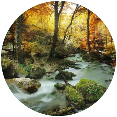 Produktbild von Wallario Premium Glasbild, freischwebende Optik, kräftige Farben, rund 50cm Durchmesser, Motiv Wasserfall mit moosbedeckten Steinen im Herbstwald