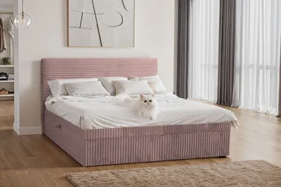 A bedroom scene with a pink corduroy bed, white bedding, and a white cat lying on the bed. Curtains and artwork are visible in the background.