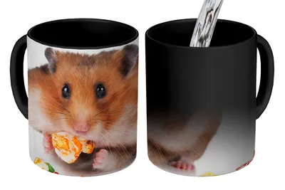 Obrázok produktu pre KitchenYeah® Magický hrnček Magický hrnček Magický škrečok konzumuje farebné jedlo 350 ml hrnček na zmenu farby nápad na darček - magický hrnček - fotohrnček - keramické hrnčeky - obrázky - hrnček na kávu - hrnček na nápoje