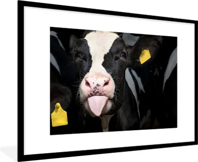 Produktbild von MuchoWow® Gerahmtes Poster Kuh - Kalb - Zunge 90x60 cm - Poster mit Schwarzem Bilderrahmen Wandposter Rahmen Foto Bilder - Wanddekoration - Fotos