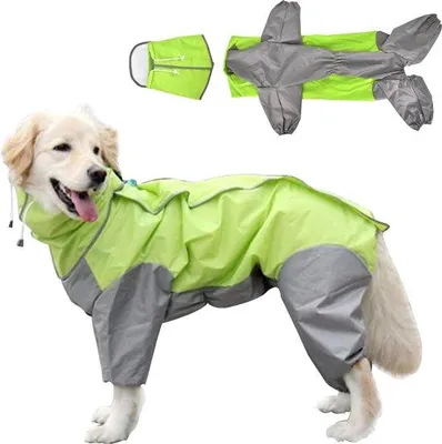 Produktbild von Famanu Hunderegenjacke Wasserdicht mit Kapuze - Grün, für mittelgroße und große Hunde