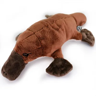 A plush toy platypus lying on a white background.