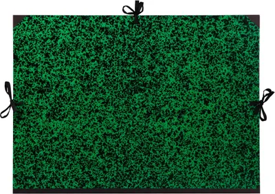 Produktbild von Clairefontaine 5x Zeichenmappe Annonay, Bandverschluss, 61x76cm - Grün 33000C