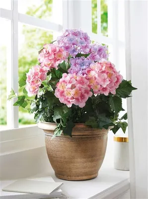 Produktbild von Kunstpflanze "Hortensie" im goldenen Topf, 55 cm hoch, künstliche Hortensien, Dekopflanze, Topfpflanze