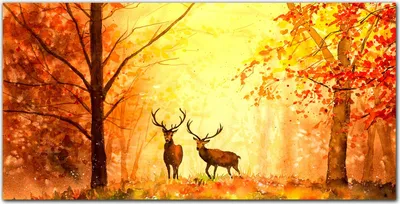 Produktbild von Coloray Küchenrückwand 100x50 Spritzschutz aus Glas - Herbstwald Hirsch
