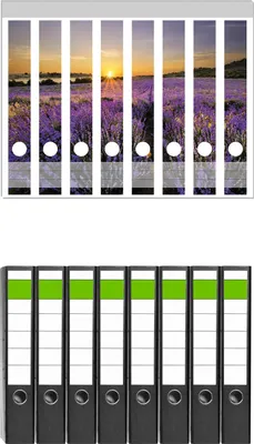 Produktbild von Wallario 8 Stück schmale Ordner inkl. Klebeetiketten mit Motive Sonnenuntergang über dem Lavendel -  Set mit Rückenschildern / Ordnerrücken Stickern