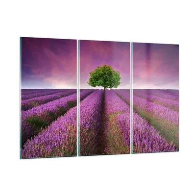 Produktbild von Bilder auf glas - Wiese lavenda Sommer Landschaft - 165x110cm - Glasbilder - Wandbilder - Kunstdruck - Wanddekoration aus Glas - Glas Bilder - Wandbild auf Glas - GCE165x110-2605