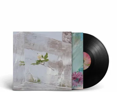 Productafbeelding van Efterklang: Windflowers - jpc Schallplatten - (LP / W)