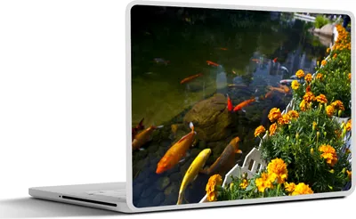 Produktbild von MuchoWow® Laptop Aufkleber Sticker Cover Koi-Karpfen in einem Teich mit Blumen 36.5x27.5 cm - Laptop-Sticker