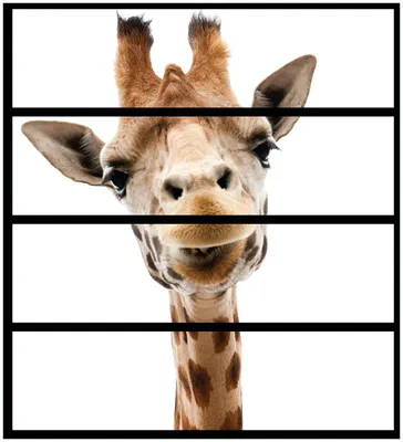 Produktbild von Wallario Möbelfolie / Aufkleber, geeignet für Ikea Malm Kommode mit 4 Schubfächern - Giraffenkopf