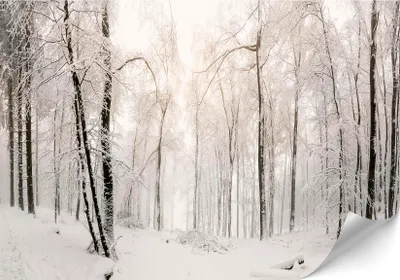 Immagine prodotto di LUMASOUL Carta da parati fotografica 400x280 cm, Motivo invernale 8, carta da parati soggiorno di alta qualità facile da montare, Premium