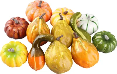 Image de 12 citrouilles artificielles en mousse, Décoration réutilisable pour la maison & la photographie