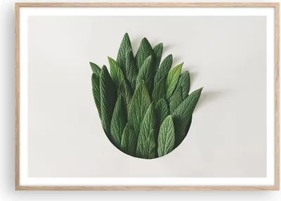 Produktbild von Gerahmtes Poster - Rahmen in heller Eiche - Salbei Medizin Blätter - 100x70 cm - Wand Bild - Wanddeko - Wandbilder - Kunstposter - Wandposter - Bilderrahmen - Bilder - Kunstdruck - P2NAA100x70-4859