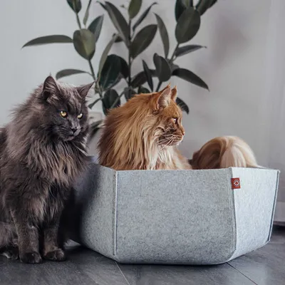 Immagine prodotto di AVA | Tana del gatto in feltro | Gatto canadese | taglia L | grigio chiaro