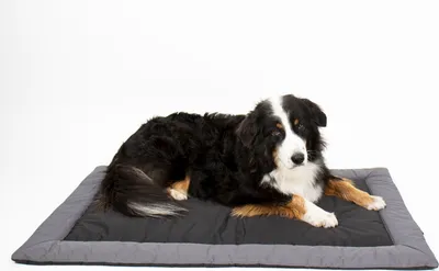 Produktbild von Hunde Outdoor-Decke ABBY, 100 x 65 cm, wasserabweisende Hundematte Hundekissen Hundedecke, Camping, Outdoor