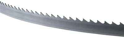 Zdjęcie produktu dla Brzeszczot do piły MBS 1100, 6 zębów