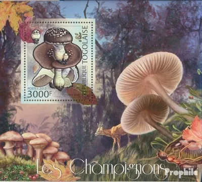 Produktbild von Briefmarken Togo 2012 Mi Block 697 (kompl. Ausgabe) postfrisch Pilze (Cartinarius torvus)