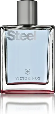 Zdjęcie produktu dla Victorinox Swiss Army Steel EDT 100 ml M