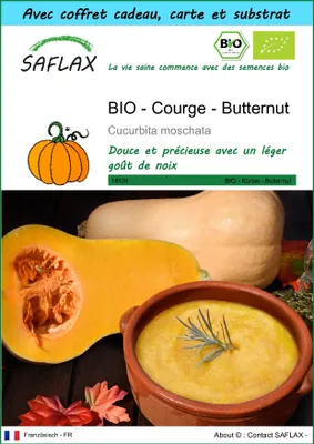 Image de SAFLAX Ensemble-cadeau -- Courge - Butternut - 6 graines - Cucurbita