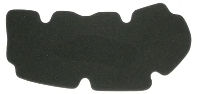 Productafbeelding van Luchtfilter voor Peugeot Geo RS/Geopolis 125, modeljaren 2007-2012, (20 stuks)
