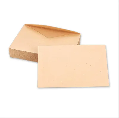 Image de Lot de 500 Enveloppes ELECTIONS 90x140 mm - chamois 75 g
