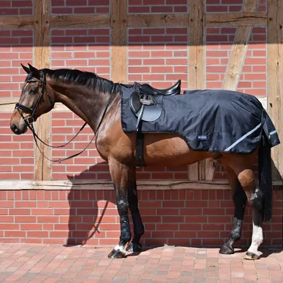 Produktbild von Busse Ausreitdecke Raintrainer 100g