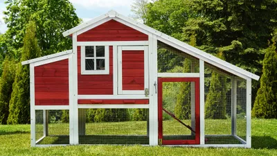Produktbild von MyAnimal Hühnerstall MH-32 | Für 4 Hühner - Hühnerhaus Zweistöckig - 2 Sitzstangen - Nistkasten - Eiablage - Freilaufgehege (Rot/Weiß 2.0)